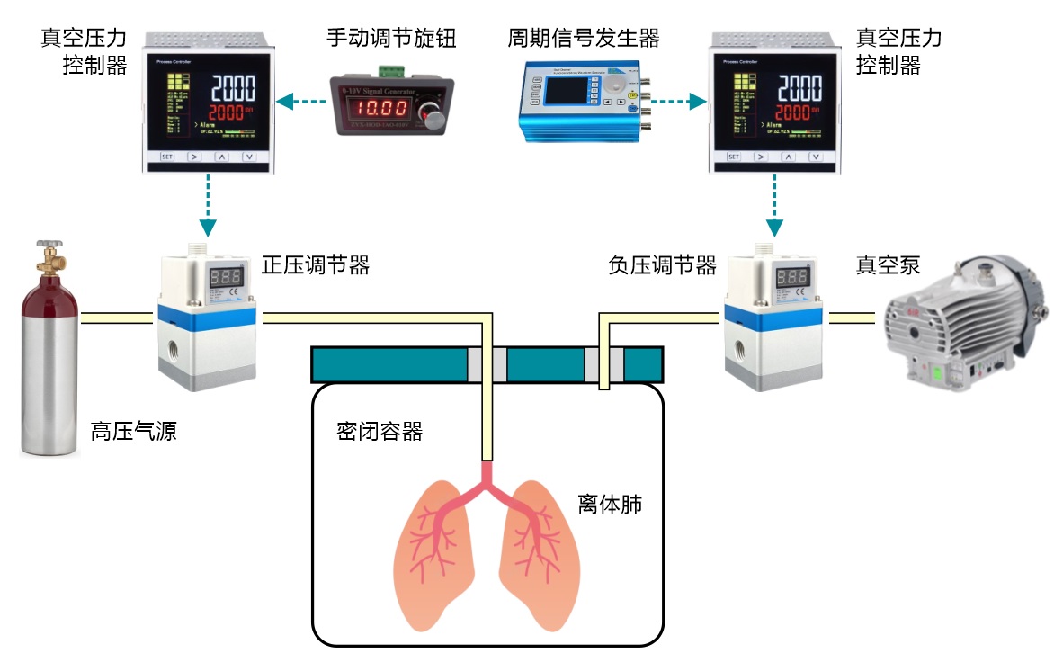 正负压自动控制技术在离体肺通气系统中的应用